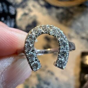 Horseshoe 925 Ring in Silver